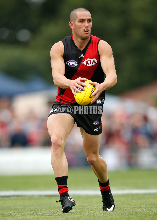 AFL 2015 NAB Challenge - Essendon v St Kilda - 361288