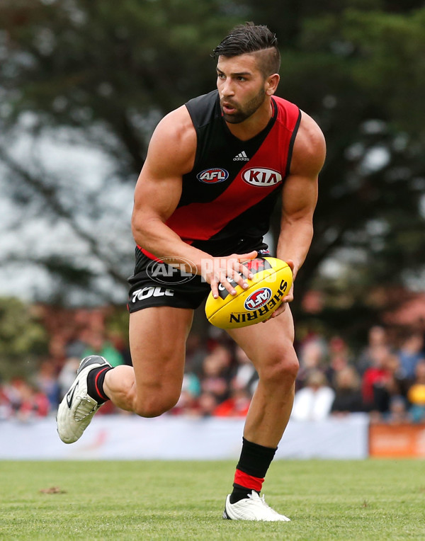 AFL 2015 NAB Challenge - Essendon v St Kilda - 361308
