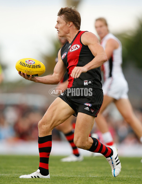 AFL 2015 NAB Challenge - Essendon v St Kilda - 361388