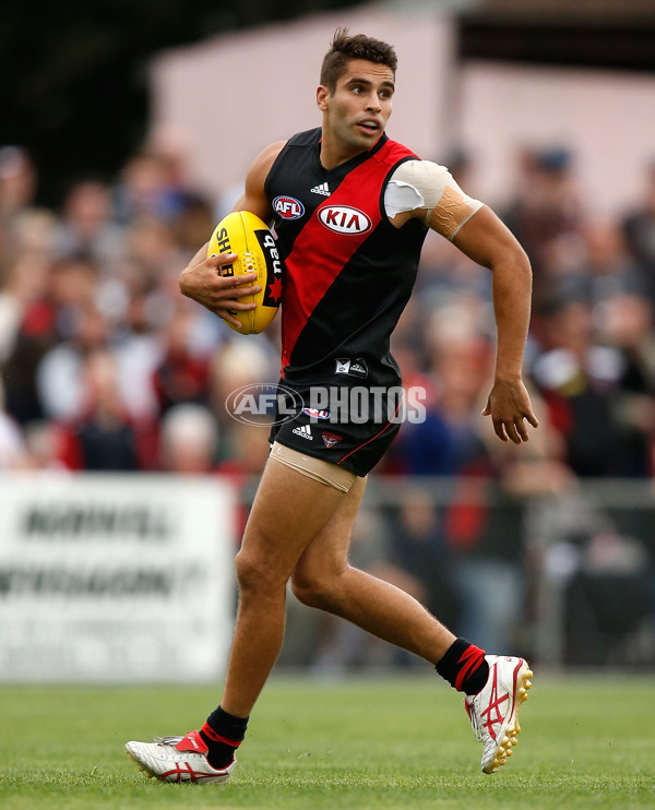 AFL 2015 NAB Challenge - Essendon v St Kilda - 361413