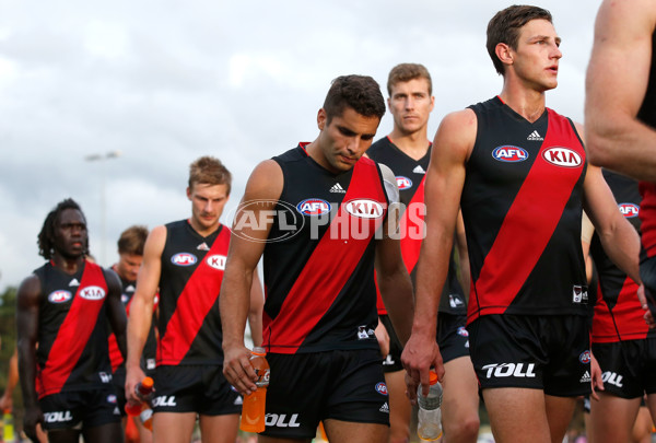 AFL 2015 NAB Challenge - Essendon v St Kilda - 361363