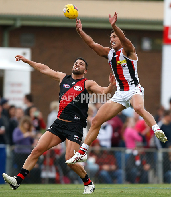 AFL 2015 NAB Challenge - Essendon v St Kilda - 361411