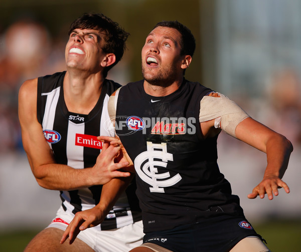 AFL 2015 NAB Challenge - Collingwood v Carlton - 362118