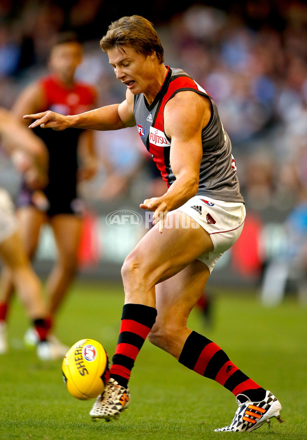 AFL 2015 NAB Challenge - Melbourne v Essendon - 362506