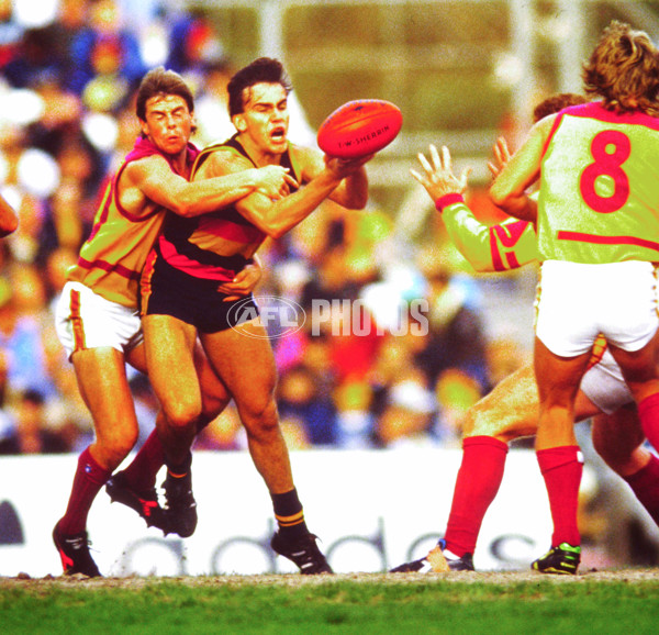 Matthew Liptak - 363707