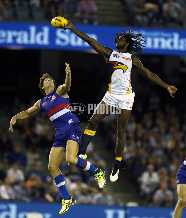 AFL 2015 Rd 01 - Western Bulldogs v West Coast - 364378