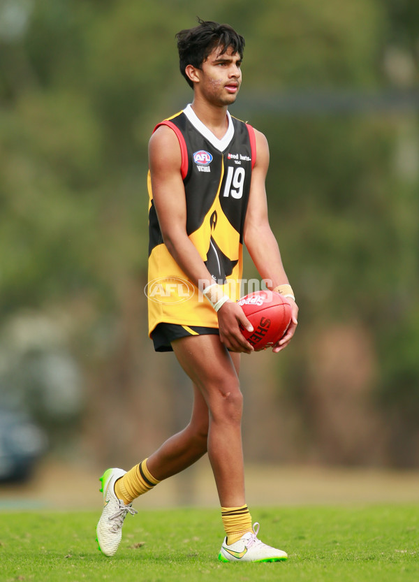 TAC Cup 2015  - Dandenong Stingrays v Geelong - 364884