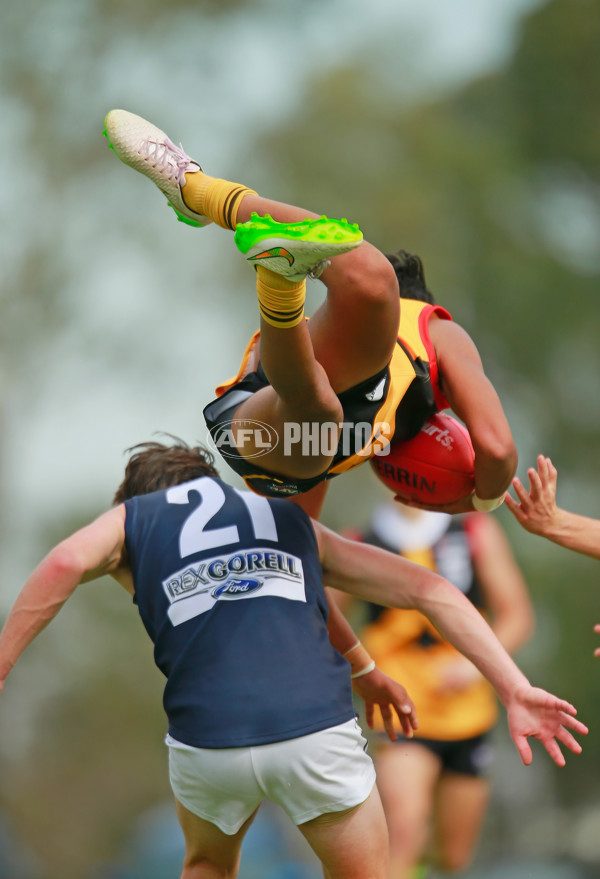 TAC Cup 2015  - Dandenong Stingrays v Geelong - 364881