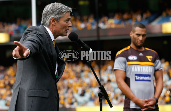 AFL 2015 Rd 01 - Hawthorn v Geelong - 365092