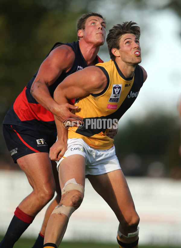 VFL 2015 Rd 01 - Coburg v Richmond - 367171