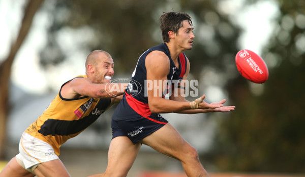 VFL 2015 Rd 01 - Coburg v Richmond - 367184