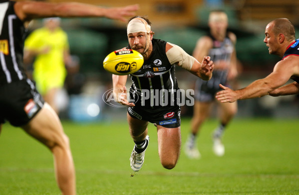 SANFL 2015 Rd 04 - Port Adelaide v Norwood - 368522