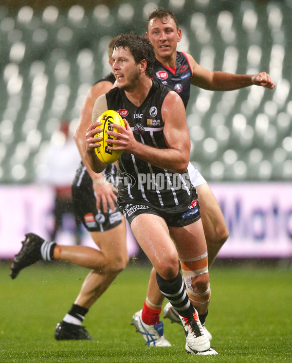 SANFL 2015 Rd 04 - Port Adelaide v Norwood - 368551