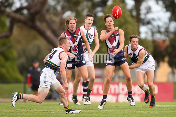 TAC Cup 2015 Rd 6 - Sandringham v Tasmania - 370882