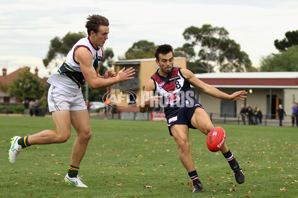 TAC Cup 2015 Rd 6 - Sandringham v Tasmania - 370828