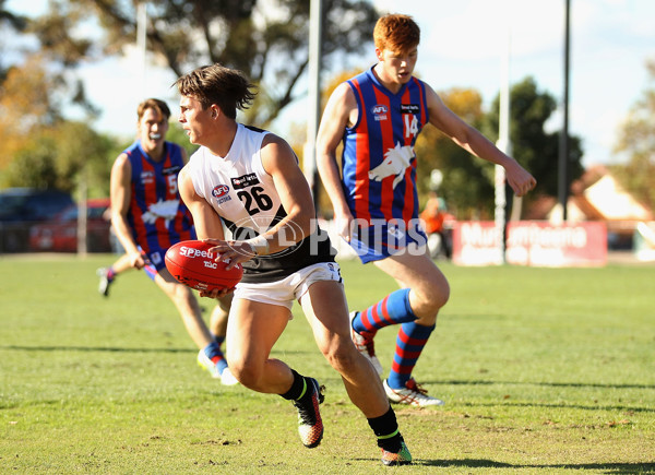 TAC Cup 2015 Rd 6 - Oakleigh Chargers v North Ballarat Rebels - 370814