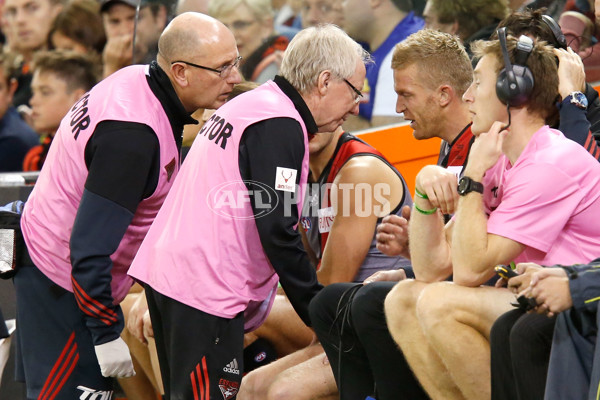 AFL 2015 Rd 05 - St Kilda v Essendon - 371029