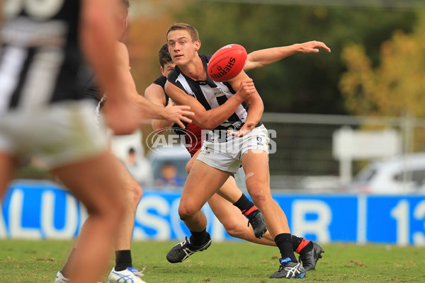 VFL 2015 Rd 02 - Essendon v Collingwood - 371355