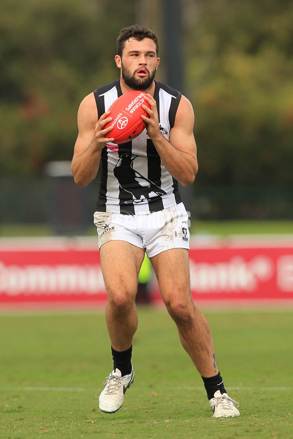 VFL 2015 Rd 02 - Essendon v Collingwood - 371350