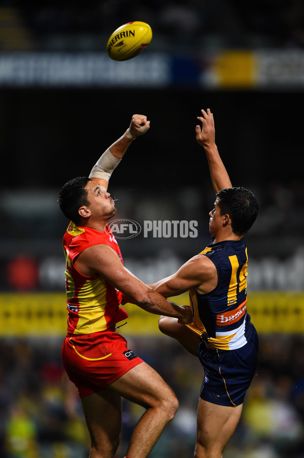 AFL 2015 Rd 07 - West Coast v Gold Coast - 373616