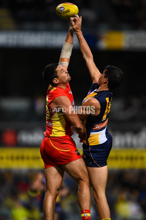 AFL 2015 Rd 07 - West Coast v Gold Coast - 373615