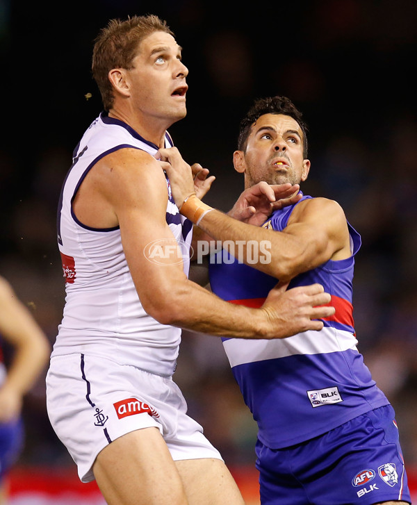 AFL 2015 Rd 07 - Western Bulldogs v Fremantle - 373894