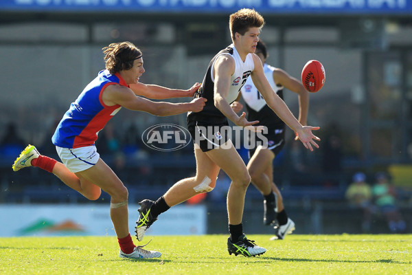 TAC Cup 2015 Rd 08 - North Ballarat v Gippsland Power - 374113