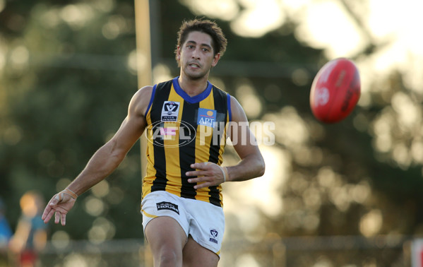 VFL 2015 Rd 05 - Frankston v Sandringham - 374172