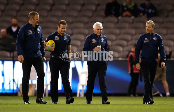 AFL 2015 Rd 08 - Geelong v Carlton - 374441