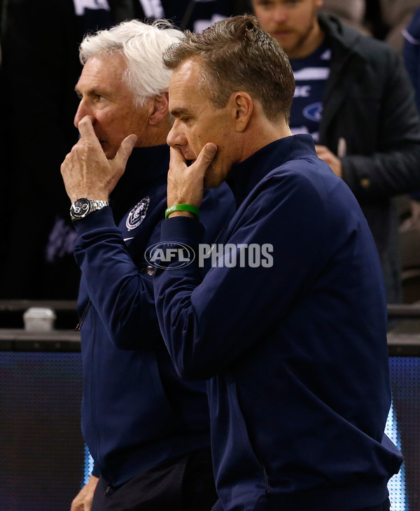 AFL 2015 Rd 08 - Geelong v Carlton - 374536