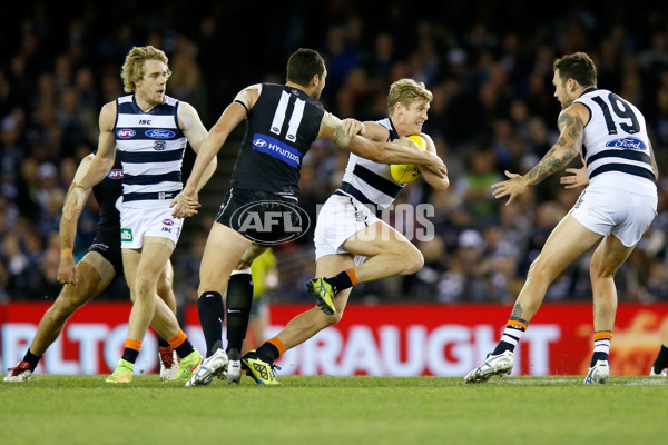 AFL 2015 Rd 08 - Geelong v Carlton - 374574