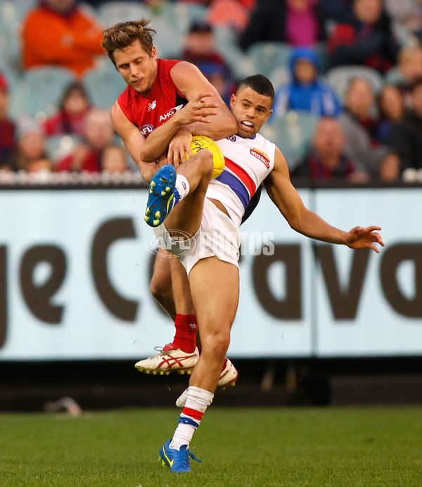 AFL 2015 Rd 08 - Melbourne v Western Bulldogs - 375638