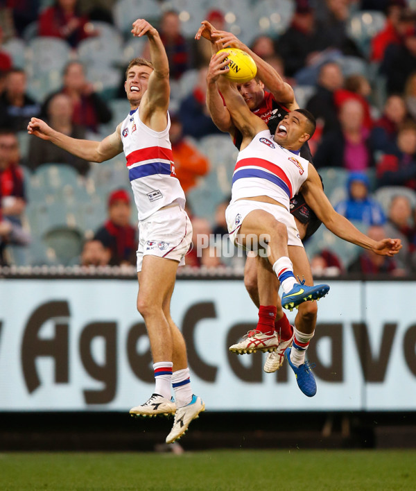 AFL 2015 Rd 08 - Melbourne v Western Bulldogs - 375635