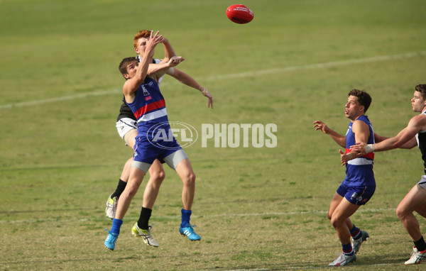 VFL 2015 Rd 06 - Footscray v North Ballarat Roosters - 375722