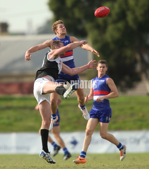 VFL 2015 Rd 06 - Footscray v North Ballarat Roosters - 375759