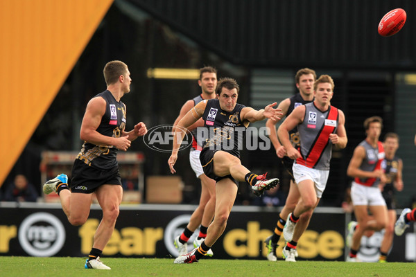 VFL 2015 Rd 07 - Richmond v Essendon - 377582