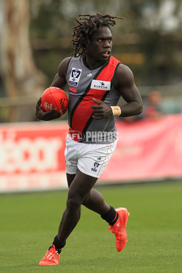 VFL 2015 Rd 07 - Richmond v Essendon - 377574