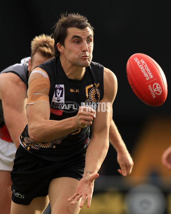 VFL 2015 Rd 07 - Richmond v Essendon - 377620