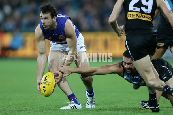 AFL 2015 Rd 10 - Port Adelaide v Western Bulldogs - 378448