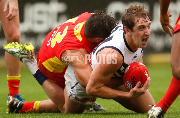 AFL 2015 Rd 11 - Gold Coast v Fremantle - 379734