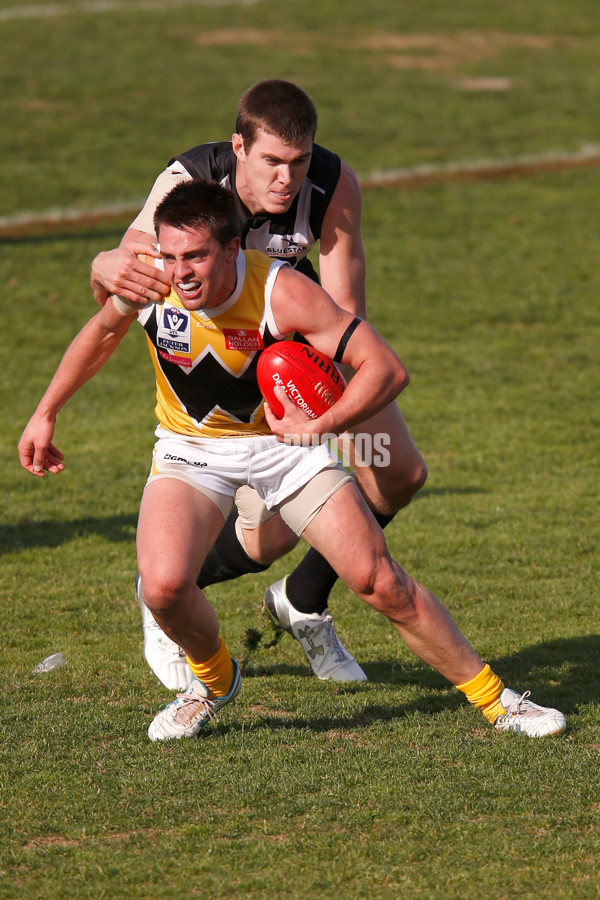 VFL 2015 Rd 09 - Collingwood v Werribee Tigers - 380118