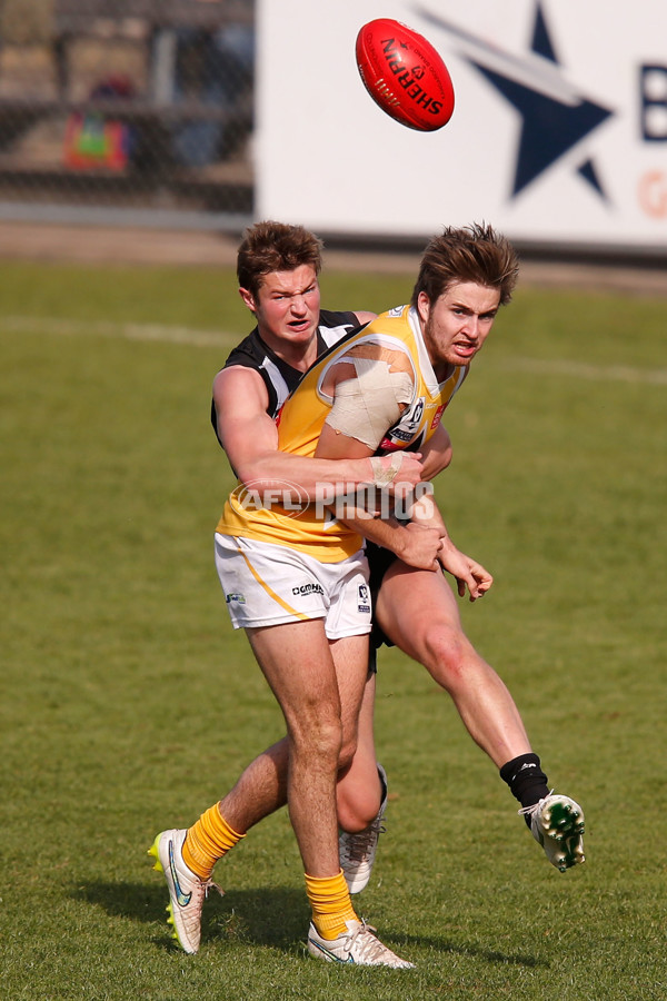 VFL 2015 Rd 09 - Collingwood v Werribee Tigers - 380217