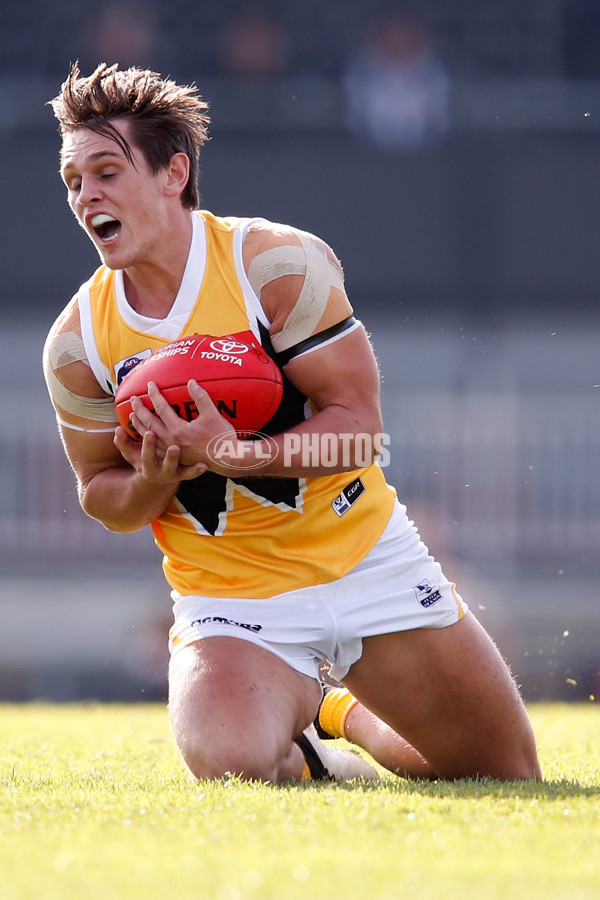 VFL 2015 Rd 09 - Collingwood v Werribee Tigers - 380105