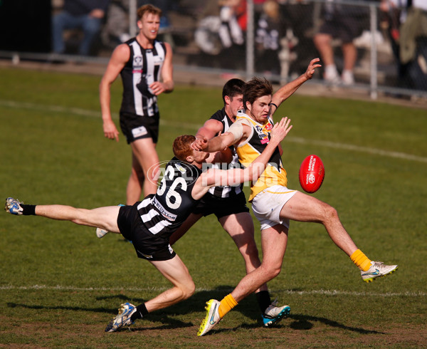 VFL 2015 Rd 09 - Collingwood v Werribee Tigers - 380112