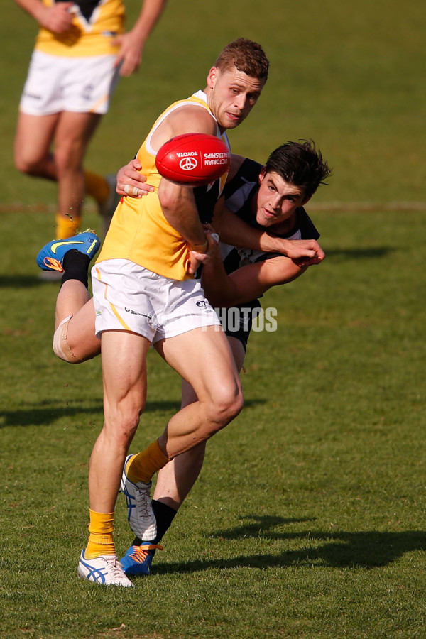 VFL 2015 Rd 09 - Collingwood v Werribee Tigers - 380125