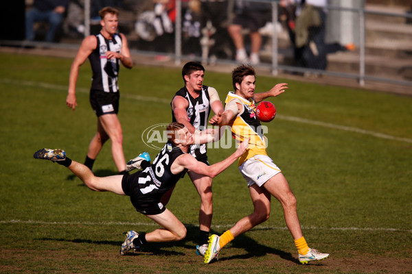 VFL 2015 Rd 09 - Collingwood v Werribee Tigers - 380113