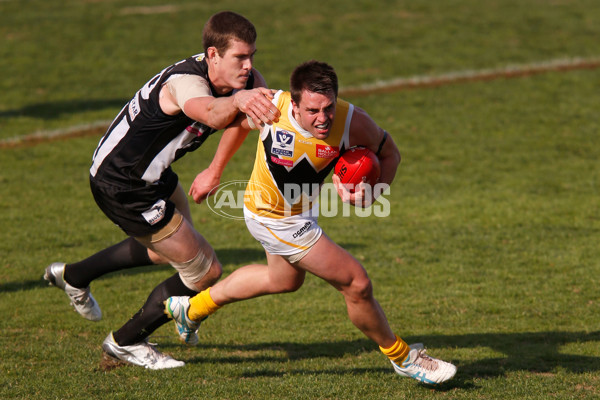 VFL 2015 Rd 09 - Collingwood v Werribee Tigers - 380119