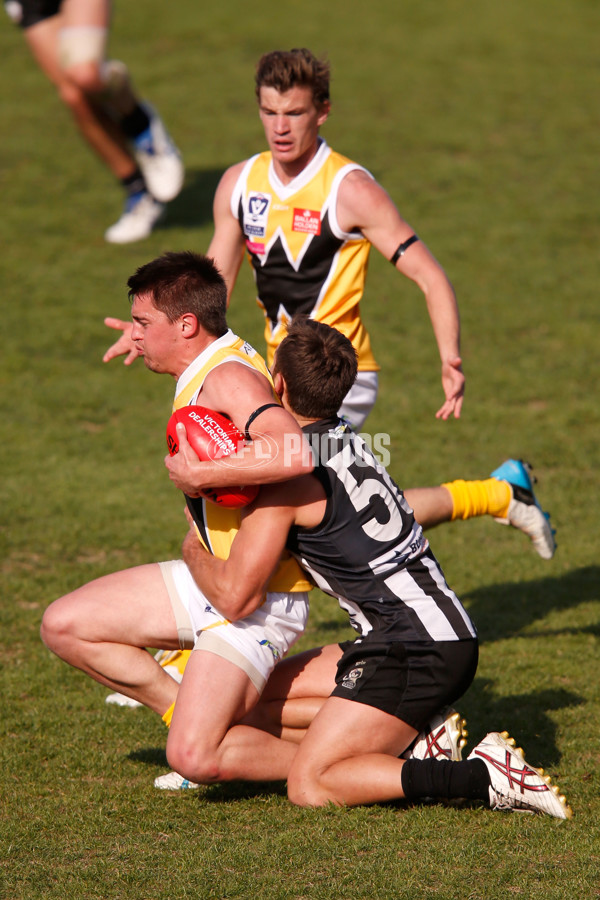 VFL 2015 Rd 09 - Collingwood v Werribee Tigers - 380123