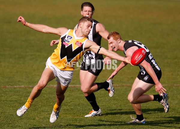 VFL 2015 Rd 09 - Collingwood v Werribee Tigers - 380126