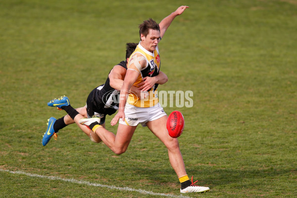 VFL 2015 Rd 09 - Collingwood v Werribee Tigers - 380169